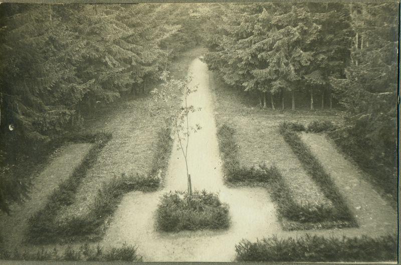 Vilniaus ąžuolas, pasodintas 1924 m. gegužės 1 d.