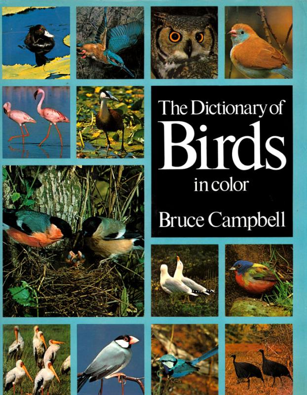 Campbell, Bruce. The dictionary of birds: in color. Photographs from Ardea Photographics and Aquila Photographics. New York: Exeter books, 1984.