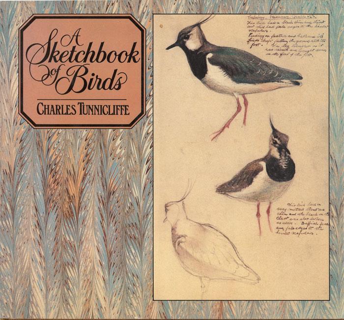 Tunnicliffe, C. F.A sketchbook of birds. New York: Holt, Rinehart and Winston, 1979.