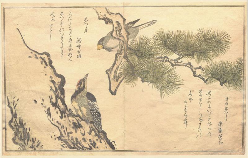 Utamaro. A chorus of birds: [album].With an introduction by Julia Meech-Pekarik and a note on kyõka and translations by James T. Kenney. 
New York: Metropolitan Museum of Art: Viking Press, 1981.