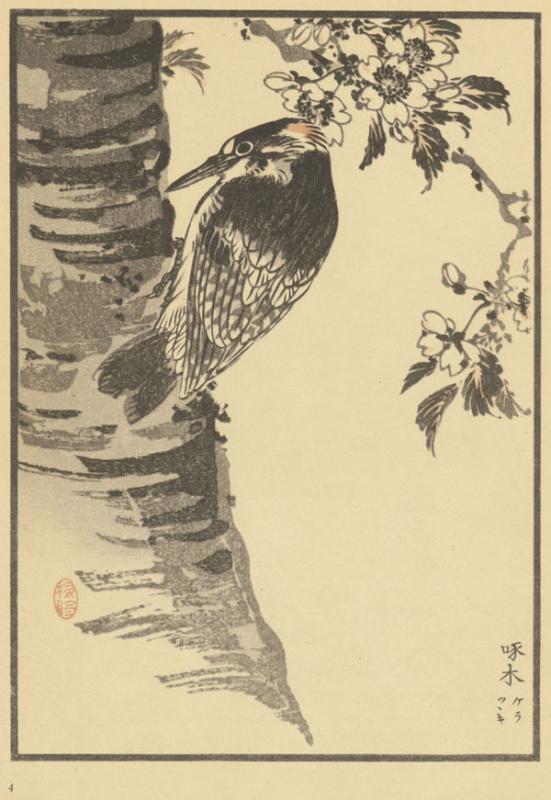 Bairei, Kono. Seidenschwanz und Orchidee: japanische Meisterholzschnitte. Mit naturkundlichen Erläuterungen von Heinrich Dathe. Leipzig: Prisma-Verlag, 1958. VI, 68 p.: iliustr.