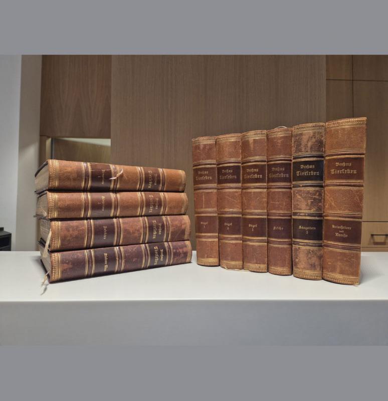 Brehm, Alfred E. Brehms Tierleben: allgemeine Kunde des Tierreichs. Unter Mitwirkung von Wilh. Haacke; neubearbeitet von Pechuel-Loesche. 3., gänzlich neubearbeitete Auflage. Leipzig; Wien: Bibliografisches Institut, 1891–1892.