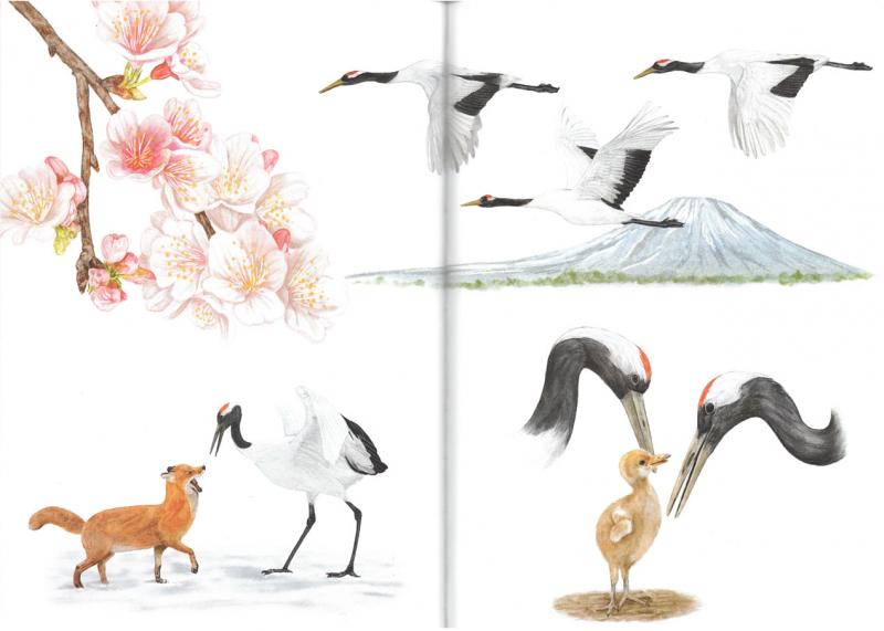 Unwin, Mike. Around the world in 80 birds. Illustrations by Ryuto Miyake. London: Laurence King Publishing, 2022.