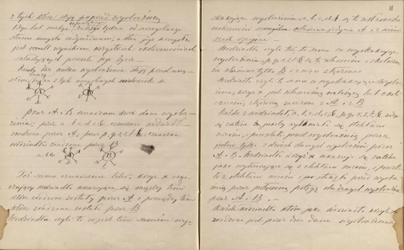 Notaty z frenotypiki Bartłomieja Beniowskiego. Przekład Emilii z Beniowskich Wróblewskiej. Notaty z frenotypiki Bartłomieja Beniowskiego. Przekład Emilii z Beniowskich Wróblewskiej.