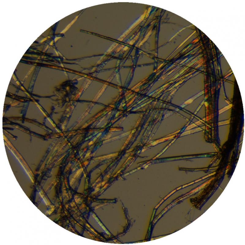 Lino pluošto vaizdas mikroskopu