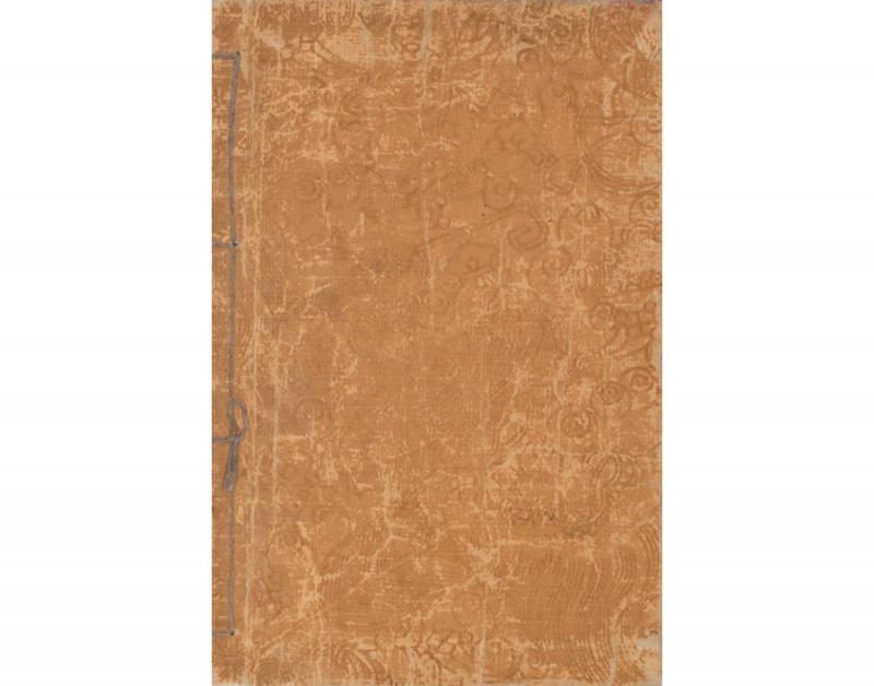 Unga, Tachibana.花鳥畫譜 = Kachō gafu = Gėlių ir paukščių piešinių albumas. Nihonbashi-ku [Tokyo]: [Okura Magobei], 1882–1884.– 3 p., 40 iliustr. p.: medžio raiž.; 22 x 14 cm.
