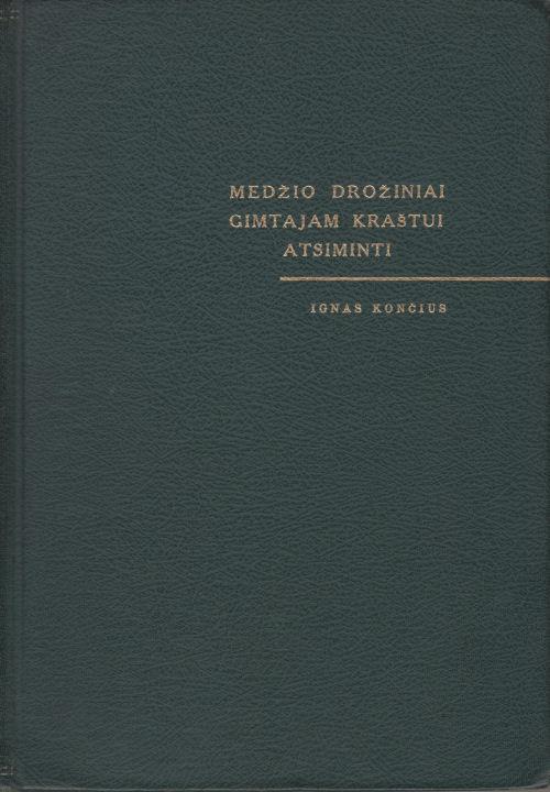 Medžio drožiniai gimtajam kraštui atsiminti