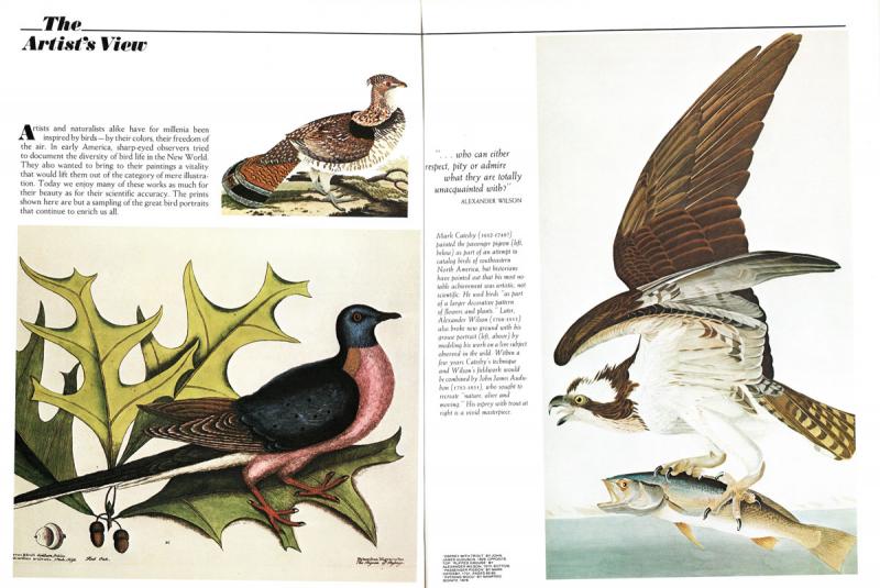 The gift of birds. [Editor Howard F. Robinson]. Washington: National Wildlife Federation, c1979.