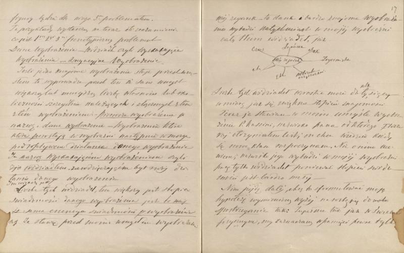 Notaty z frenotypiki Bartłomieja Beniowskiego. Przekład Emilii z Beniowskich Wróblewskiej. Notaty z frenotypiki Bartłomieja Beniowskiego. Przekład Emilii z Beniowskich Wróblewskiej.