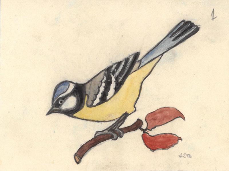 Dailininkės tapytojos, akvarelistės Onos Soltanaitės-Riomerienės (Anna Sołtanówna Römerowa, kitur – Anna Römer, 1895–1974) paukštelių piešinėliai: zylutė, šarka, sniegena, kregždė, kėkštas, liepsnelė (?), volungė. XX a. 3 deš. 9,5x12 cm.