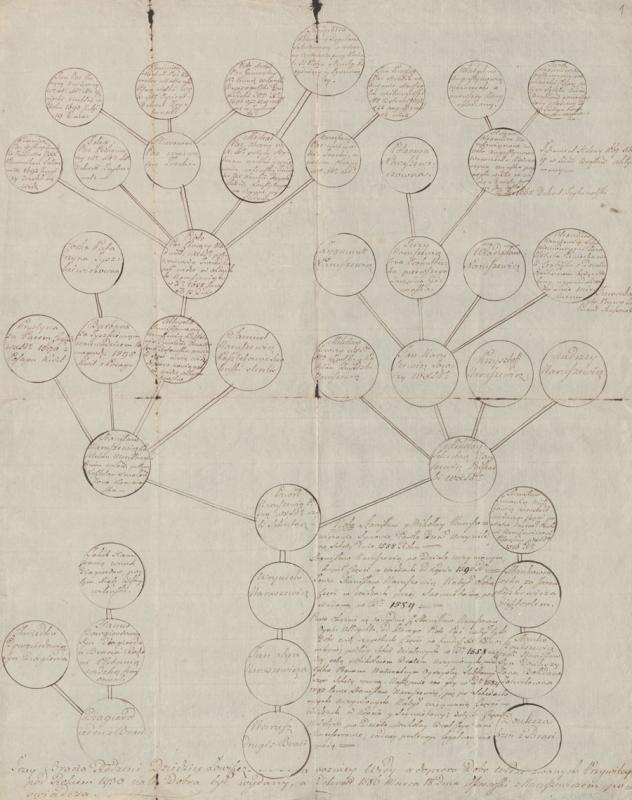 Naruševičių ir Pacų genealoginis medis