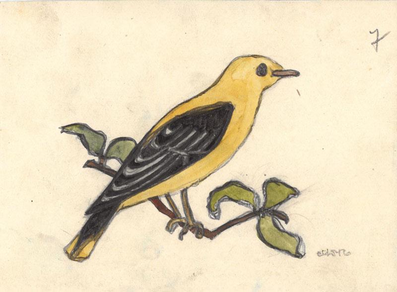 Dailininkės tapytojos, akvarelistės Onos Soltanaitės-Riomerienės (Anna Sołtanówna Römerowa, kitur – Anna Römer, 1895–1974) paukštelių piešinėliai: zylutė, šarka, sniegena, kregždė, kėkštas, liepsnelė (?), volungė. XX a. 3 deš. 9,5x12 cm.