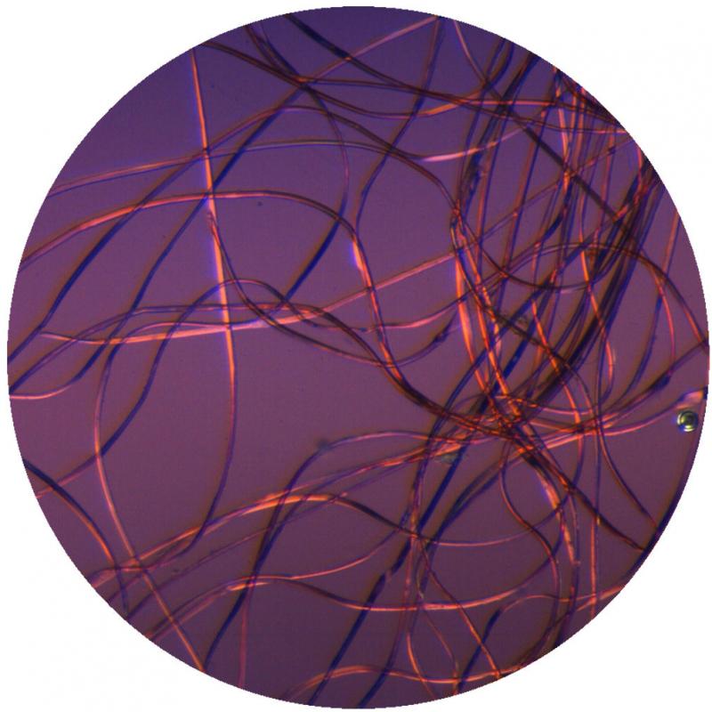 Viršelio dengiamojo audinio šilko pluošto vaizdas mikroskopu