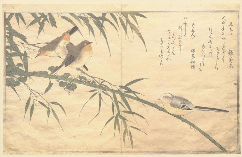 Utamaro. A chorus of birds: [album].With an introduction by Julia Meech-Pekarik and a note on kyõka and translations by James T. Kenney. 
New York: Metropolitan Museum of Art: Viking Press, 1981.