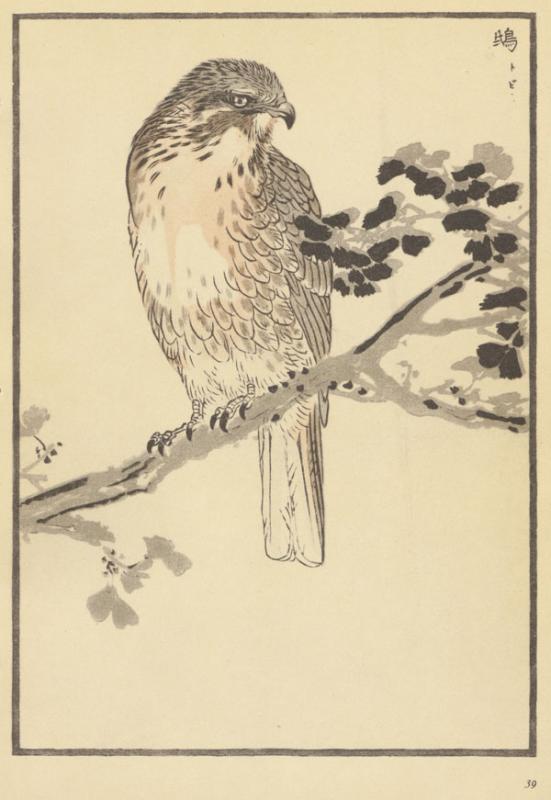 Bairei, Kono. Seidenschwanz und Orchidee: japanische Meisterholzschnitte. Mit naturkundlichen Erläuterungen von Heinrich Dathe. Leipzig: Prisma-Verlag, 1958. VI, 68 p.: iliustr.
