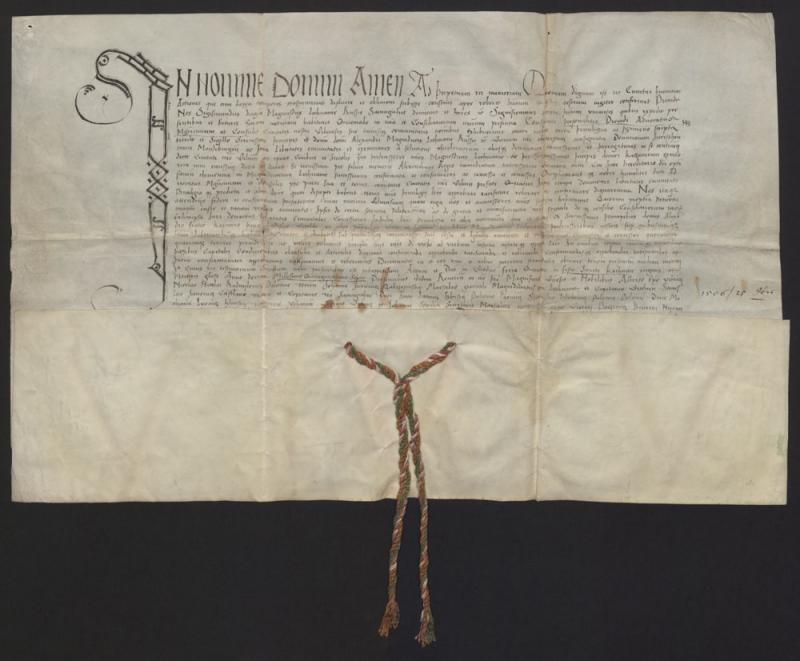 Žygimanto Senojo privilegija (1506)