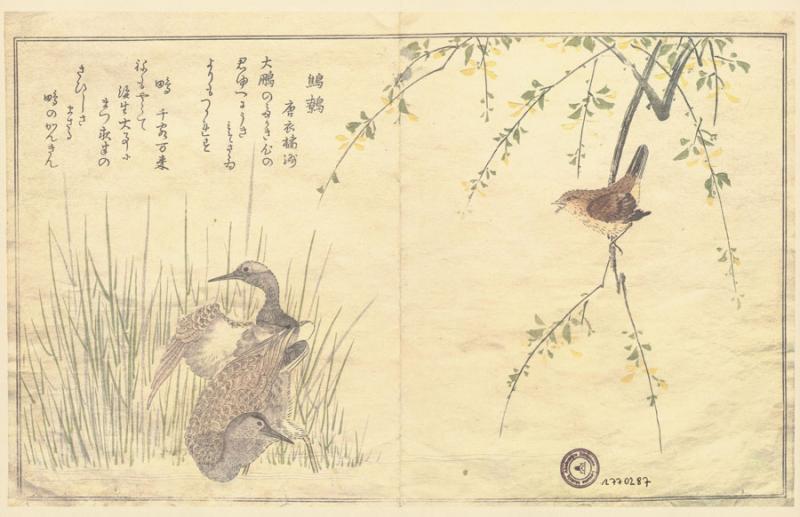 Utamaro. A chorus of birds: [album].With an introduction by Julia Meech-Pekarik and a note on kyõka and translations by James T. Kenney. 
New York: Metropolitan Museum of Art: Viking Press, 1981.