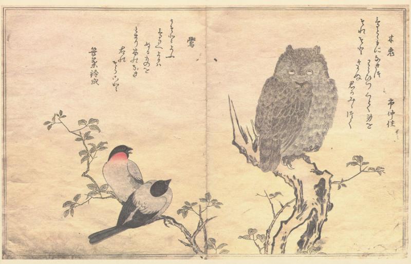 Utamaro. A chorus of birds: [album].With an introduction by Julia Meech-Pekarik and a note on kyõka and translations by James T. Kenney. 
New York: Metropolitan Museum of Art: Viking Press, 1981.