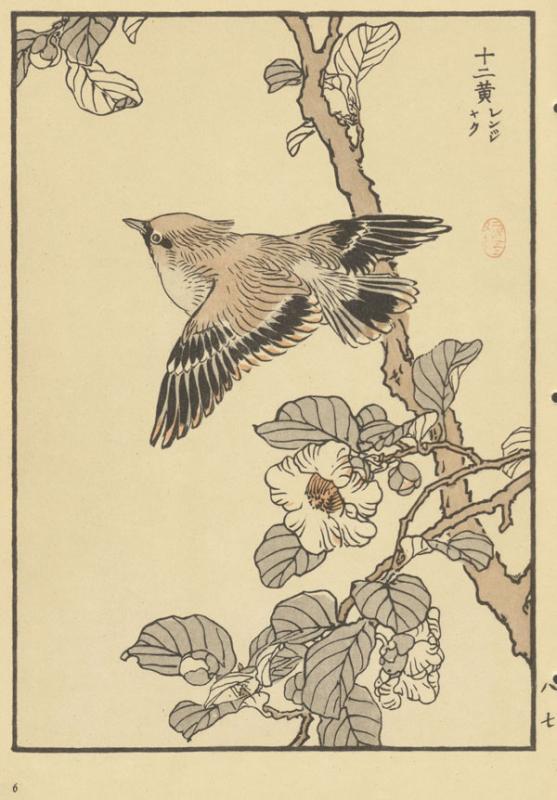 Bairei, Kono. Seidenschwanz und Orchidee: japanische Meisterholzschnitte. Mit naturkundlichen Erläuterungen von Heinrich Dathe. Leipzig: Prisma-Verlag, 1958. VI, 68 p.: iliustr.