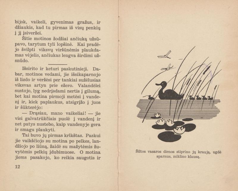 Zobarskas, Stepas. Paukščio likimas: [novelės; iliustravo T. Kulakauskas]. Kaunas: Sakalas, 1937. 118 p.: iliustr. LMAVB 49423