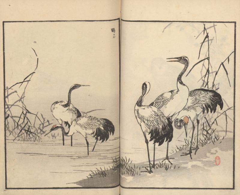 Bairei, Kono. 楳嶺百鳥畫譜 = Bairei hyakuchō gafu zokuhen = Bairei šimto paukščių albumas. Nihonbashi-ku, Tokyo: [Okura Magobei], 1881–1884. 2 t.: medžio raiž.; 25 x 16 cm.