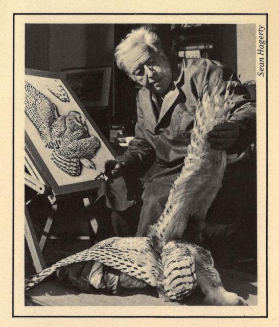 Tunnicliffe, C. F.A sketchbook of birds. New York: Holt, Rinehart and Winston, 1979.