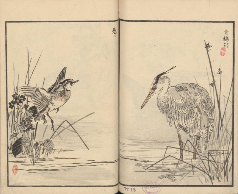 Bairei, Kono. 楳嶺百鳥畫譜 = Bairei hyakuchō gafu zokuhen = Bairei šimto paukščių albumas. Nihonbashi-ku, Tokyo: [Okura Magobei], 1881–1884. 2 t.: medžio raiž.; 25 x 16 cm.