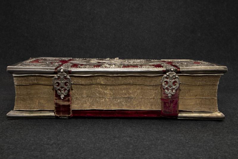 Albumo ypatybės ir struktūra