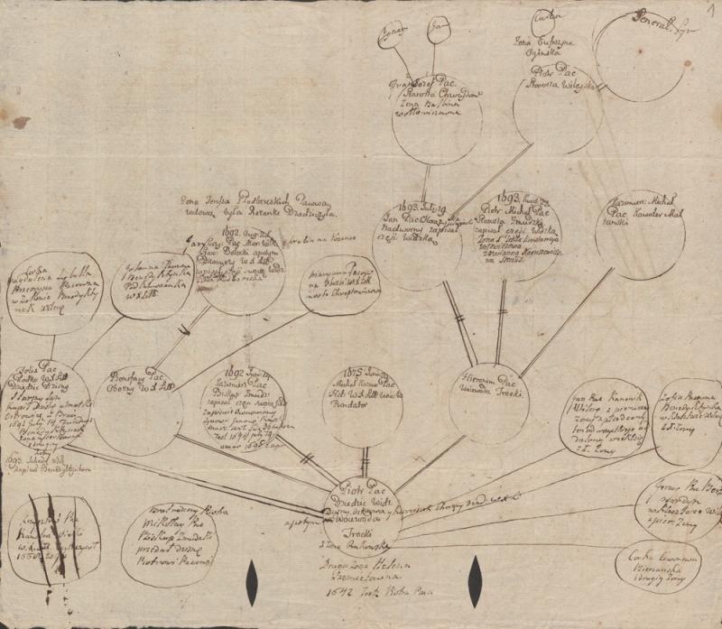 XVIII a. pradžios Pacų juodraštinė genealoginė schema