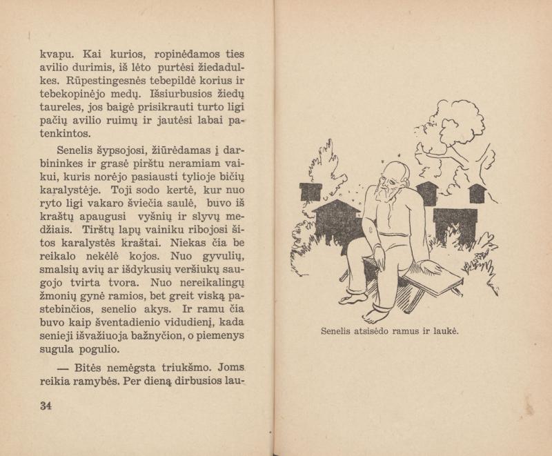 Zobarskas, Stepas. Paukščio likimas: [novelės; iliustravo T. Kulakauskas]. Kaunas: Sakalas, 1937. 118 p.: iliustr. LMAVB 49423