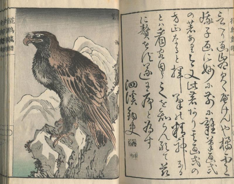 Unga, Tachibana.花鳥畫譜 = Kachō gafu = Gėlių ir paukščių piešinių albumas. Nihonbashi-ku [Tokyo]: [Okura Magobei], 1882–1884.– 3 p., 40 iliustr. p.: medžio raiž.; 22 x 14 cm.